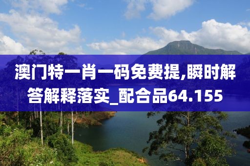 澳门特一肖一码免费提,瞬时解答解释落实_配合品64.155
