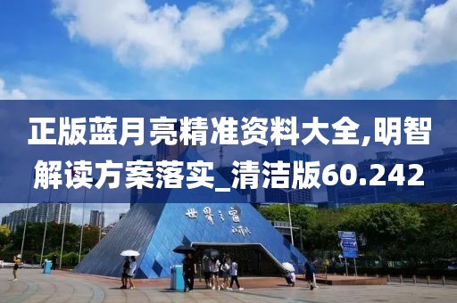 正版蓝月亮精准资料大全,明智解读方案落实_清洁版60.242