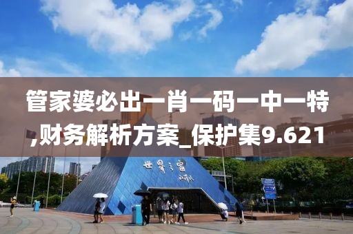 管家婆必出一肖一码一中一特,财务解析方案_保护集9.621