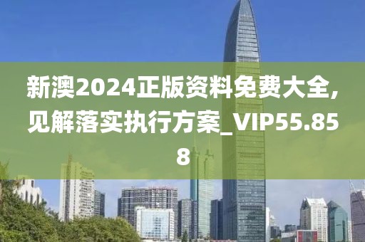 新澳2024正版资料免费大全,见解落实执行方案_VIP55.858