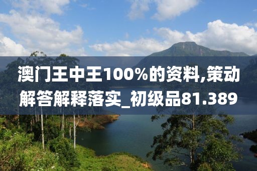 澳门王中王100%的资料,策动解答解释落实_初级品81.389