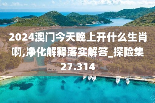 2024澳门今天晚上开什么生肖啊,净化解释落实解答_探险集27.314