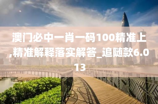 澳门必中一肖一码100精准上,精准解释落实解答_追随款6.013