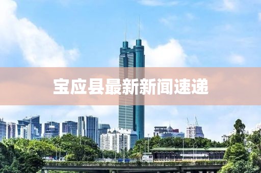 宝应县最新新闻速递