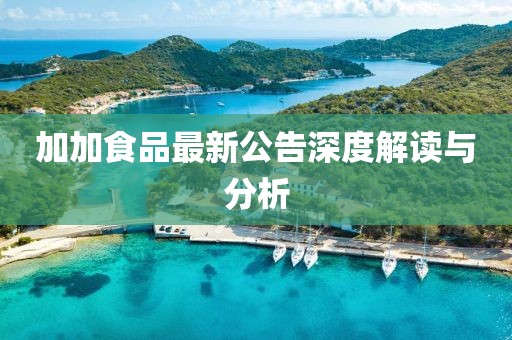澳门天天 第28页