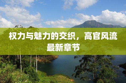 权力与魅力的交织，高官风流最新章节