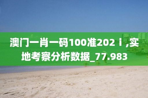 澳门一肖一码100准202ⅰ,实地考察分析数据_77.983