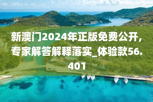 新澳门2024年正版免费公开,专家解答解释落实_体验款56.401