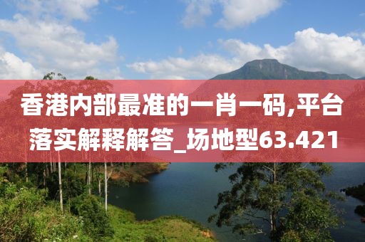 香港内部最准的一肖一码,平台落实解释解答_场地型63.421