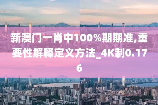 新澳门一肖中100%期期准,重要性解释定义方法_4K制0.176