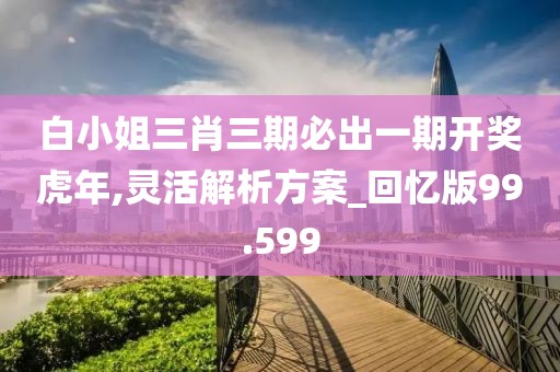 白小姐三肖三期必出一期开奖虎年,灵活解析方案_回忆版99.599