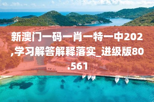 新澳门一码一肖一特一中202,学习解答解释落实_进级版80.561