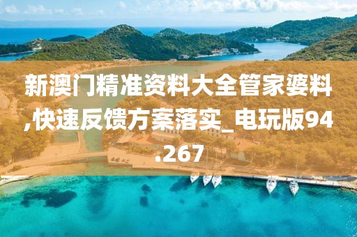 新澳门精准资料大全管家婆料,快速反馈方案落实_电玩版94.267