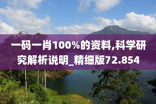 一码一肖100%的资料,科学研究解析说明_精细版72.854