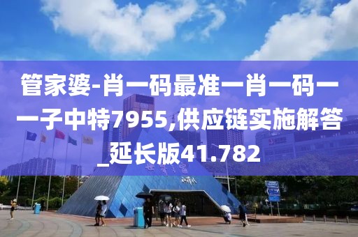 管家婆-肖一码最准一肖一码一一子中特7955,供应链实施解答_延长版41.782