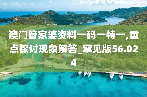 澳门管家婆资料一码一特一,重点探讨现象解答_罕见版56.024
