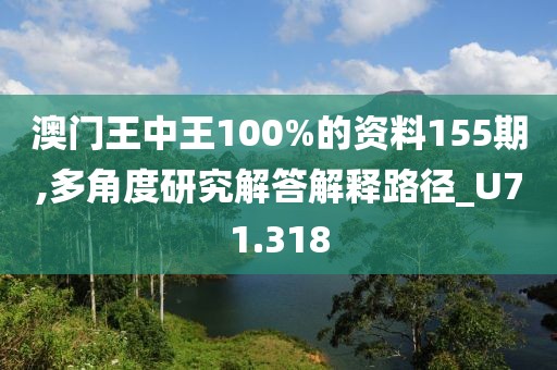 澳门王中王100%的资料155期,多角度研究解答解释路径_U71.318