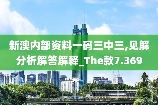 新澳内部资料一码三中三,见解分析解答解释_The款7.369