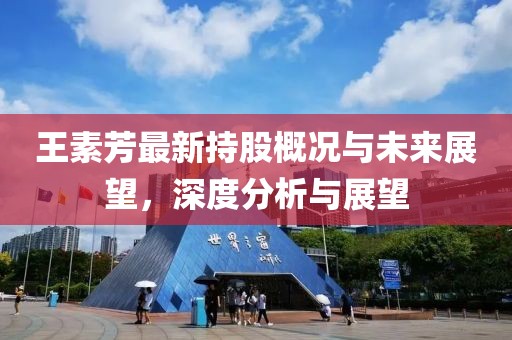 王素芳最新持股概况与未来展望，深度分析与展望