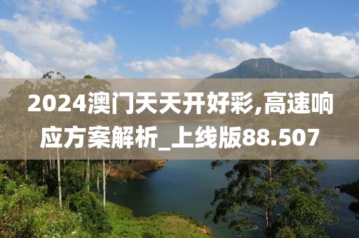 2024澳门天天开好彩,高速响应方案解析_上线版88.507