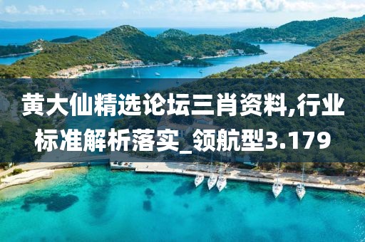 黄大仙精选论坛三肖资料,行业标准解析落实_领航型3.179