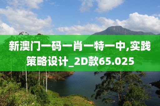 新澳门一码一肖一特一中,实践策略设计_2D款65.025