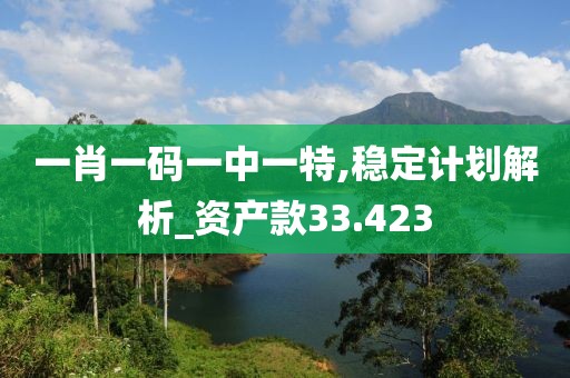 一肖一码一中一特,稳定计划解析_资产款33.423