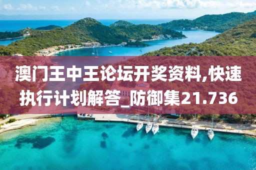 澳门王中王论坛开奖资料,快速执行计划解答_防御集21.736