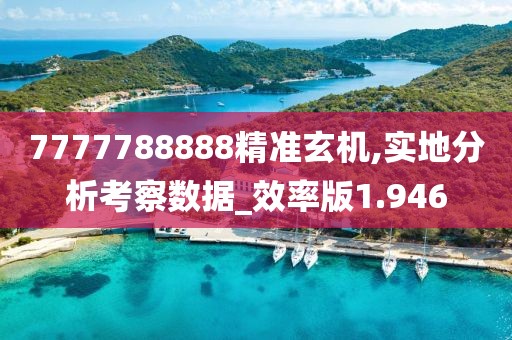 7777788888精准玄机,实地分析考察数据_效率版1.946