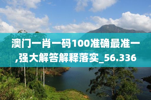 澳门一肖一码100准确最准一,强大解答解释落实_56.336