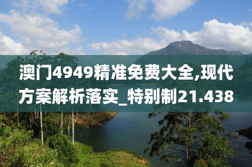 澳门4949精准免费大全,现代方案解析落实_特别制21.438