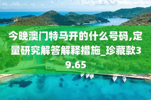 今晚澳门特马开的什么号码,定量研究解答解释措施_珍藏款39.65