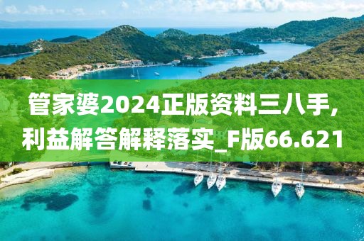 管家婆2024正版资料三八手,利益解答解释落实_F版66.621