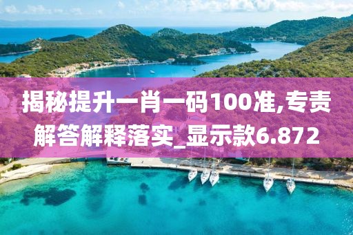 揭秘提升一肖一码100准,专责解答解释落实_显示款6.872