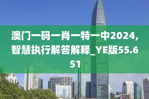 澳门一码一肖一特一中2024,智慧执行解答解释_YE版55.651