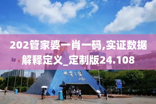 202管家婆一肖一码,实证数据解释定义_定制版24.108