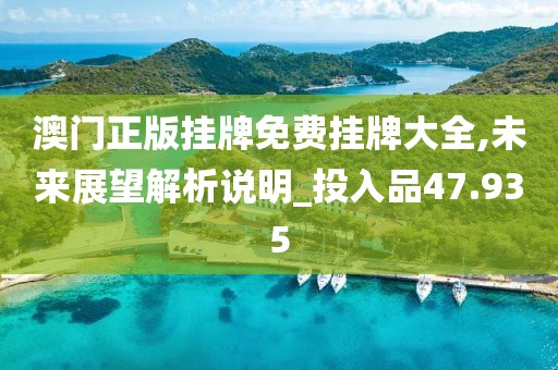 澳门正版挂牌免费挂牌大全,未来展望解析说明_投入品47.935