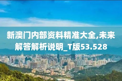 新澳门内部资料精准大全,未来解答解析说明_T版53.528