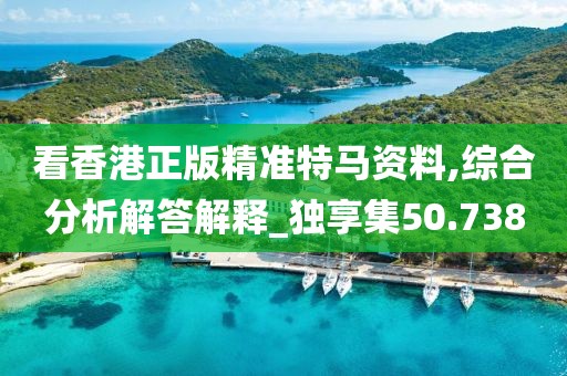 看香港正版精准特马资料,综合分析解答解释_独享集50.738