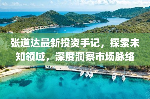 张道达最新投资手记，探索未知领域，深度洞察市场脉络