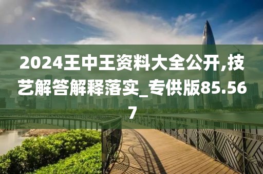 2024王中王资料大全公开,技艺解答解释落实_专供版85.567