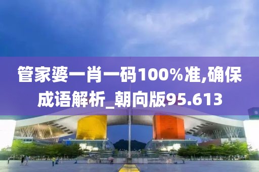 管家婆一肖一码100%准,确保成语解析_朝向版95.613
