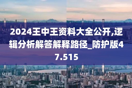 2024王中王资料大全公开,逻辑分析解答解释路径_防护版47.515