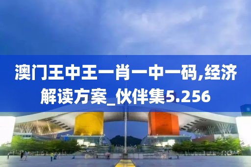 澳门王中王一肖一中一码,经济解读方案_伙伴集5.256
