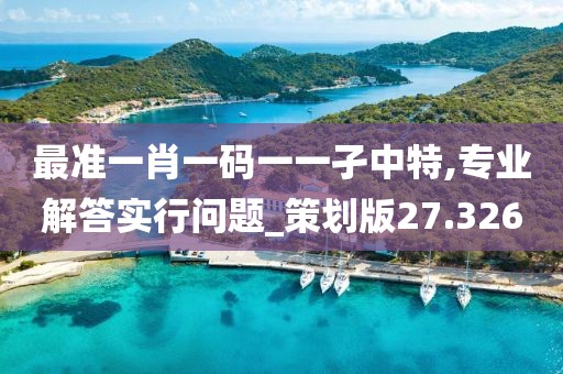 最准一肖一码一一孑中特,专业解答实行问题_策划版27.326