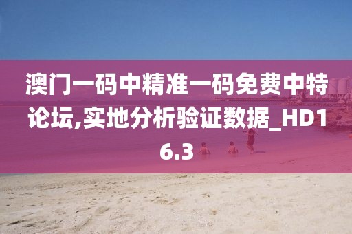 澳门一码中精准一码免费中特论坛,实地分析验证数据_HD16.3