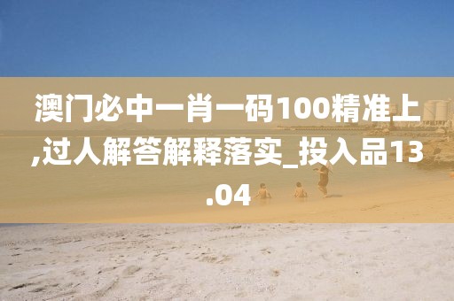 澳门必中一肖一码100精准上,过人解答解释落实_投入品13.04