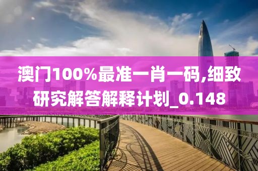 澳门100%最准一肖一码,细致研究解答解释计划_0.148