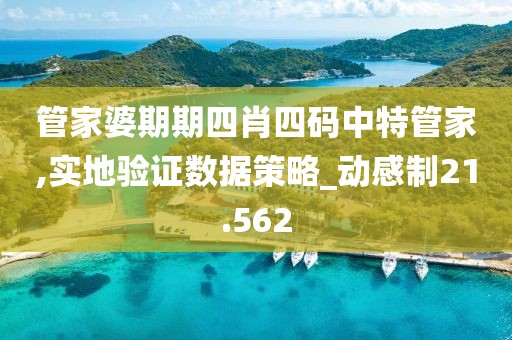 管家婆期期四肖四码中特管家,实地验证数据策略_动感制21.562