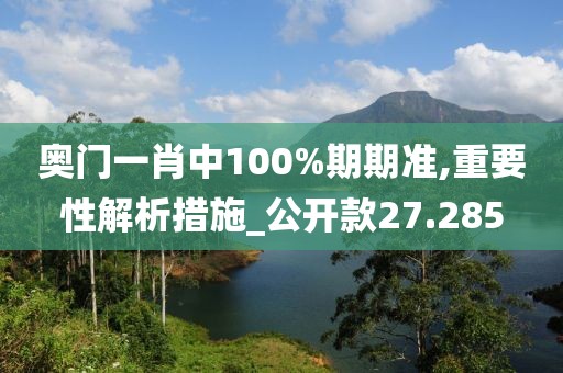 奥门一肖中100%期期准,重要性解析措施_公开款27.285